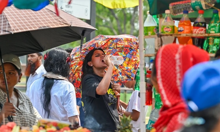 Ấn Độ sử dụng AI và vệ tinh để đối phó nắng nóng Ấn Độ sử dụng AI và vệ tinh để đối phó nắng nóng