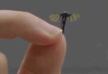 Drone trinh sát nhỏ cỡ con muỗi