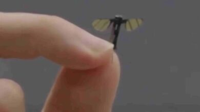 Drone trinh sát nhỏ cỡ con muỗi