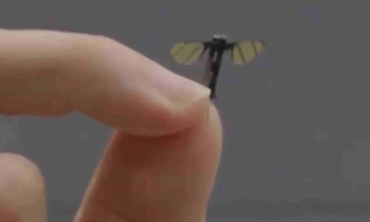 Drone trinh sát nhỏ cỡ con muỗi