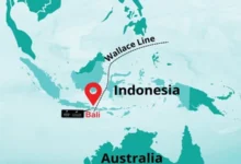 Đường vô hình ngăn cách động vật ở châu Á và Australia