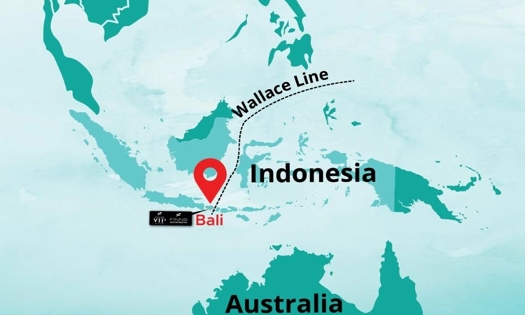 Đường vô hình ngăn cách động vật ở châu Á và Australia Đường vô hình ngăn cách động vật ở châu Á và Australia