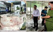 Vụ C.P. Việt Nam: nghĩa vụ của nhân viên trong việc bảo mật thông tin công ty
