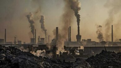 Nồng độ CO2 toàn cầu vượt ngưỡng