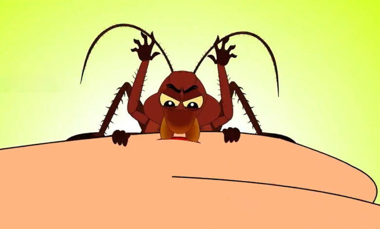 Chuyện gì xảy ra nếu bị gián cắn? Chuyện gì xảy ra nếu bị gián cắn?