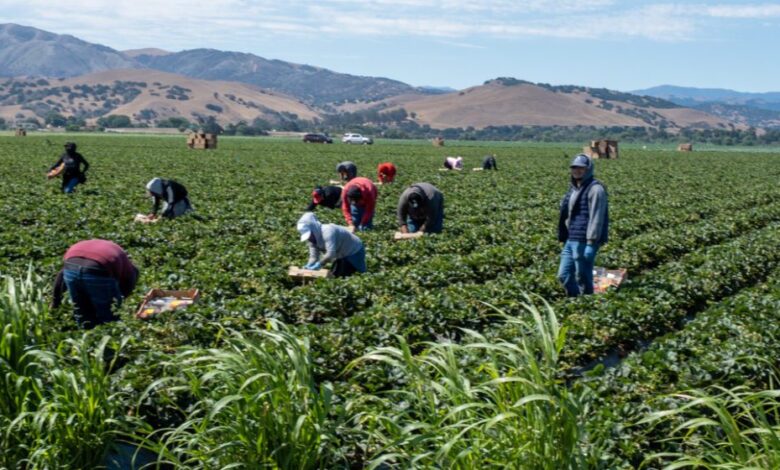 Silicon Valley officials rally to defend immigrants from ICE Silicon Valley officials rally to defend immigrants from ICE