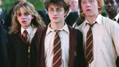 Loạt phim ‘Harry Potter’ mới và những ý kiến khác nhau