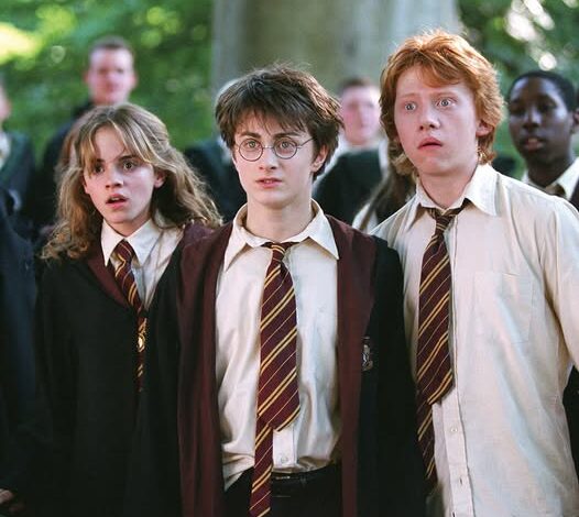 Loạt phim ‘Harry Potter’ mới và những ý kiến khác nhau