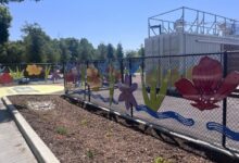 Arts, entertainment revitalize San Jose neighborhood