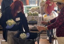 Silicon Valley grocers expect sales hit from food assistance cuts