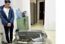 Người bán gà lôi trắng được tại ngoại nhưng liệu có khả năng trắng án?