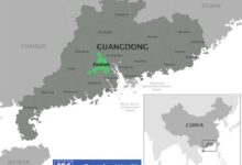 Cảnh báo dịch virus Chikungunya tại Trung Quốc