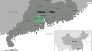 Cảnh báo dịch virus Chikungunya tại Trung Quốc