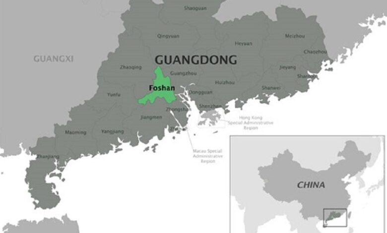Cảnh báo dịch virus Chikungunya tại Trung Quốc