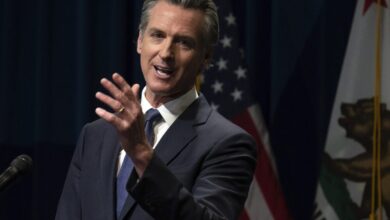 Fired-up Newsom shares his pitch for a Democratic turnaround