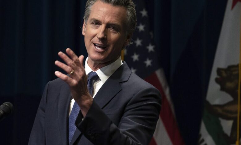 Fired-up Newsom shares his pitch for a Democratic turnaround Fired-up Newsom shares his pitch for a Democratic turnaround