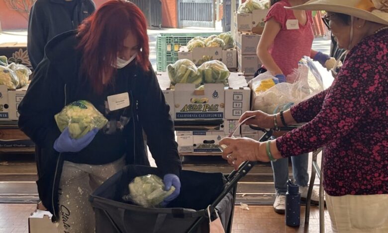Cupertino residents pick backyard fruit for people in need Cupertino residents pick backyard fruit for people in need