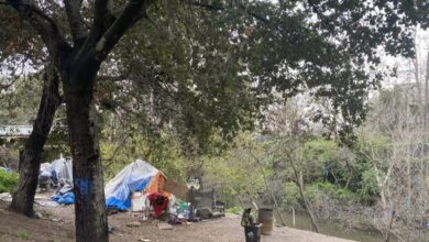 Valley Water land sees reduction in San Jose homeless camps