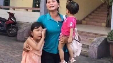 Nhân giống thành công gà lôi quý hiếm, bị phạt tù 6 năm!