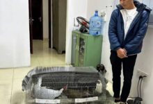 Án tù người nuôi gà lôi trắng: công bằng hay thiếu nhân văn? – Bình luận