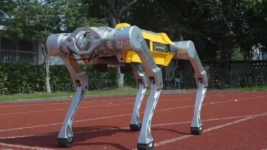 Robot chó Trung Quốc lập kỷ lục Guiness chạy 100 m