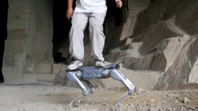 Robot chó Trung Quốc nâng người nặng 100 kg