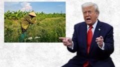 Nông dân Hưng Yên mất đất vì dự án golf của công ty gia đình Trump