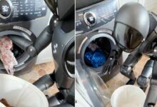 Robot hình người khéo léo bỏ đồ vào máy giặt