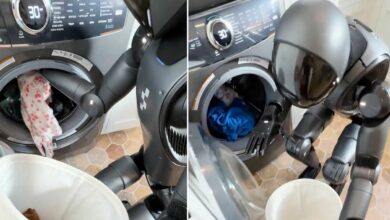Robot hình người khéo léo bỏ đồ vào máy giặt