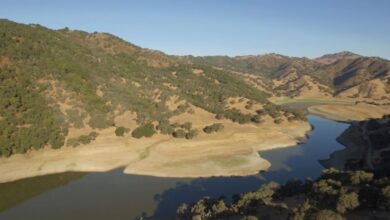 Controversial Santa Clara County dam expansion scrapped