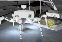 Robot in 3D xây nhà trong một ngày