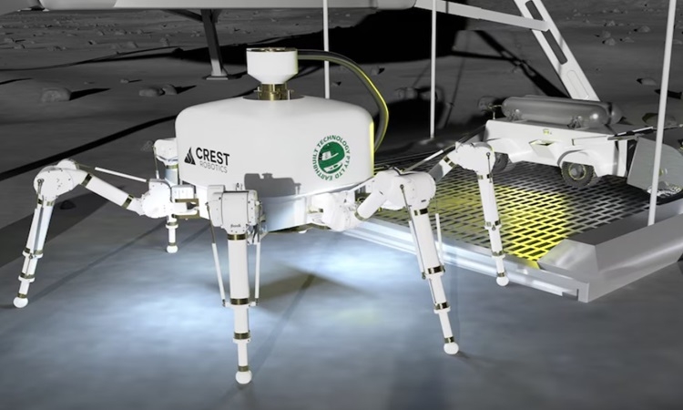 Robot in 3D xây nhà trong một ngày