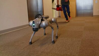 Robot AI vẫn chạy dù bị cưa chân