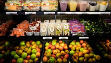South County school district backs ultraprocessed food ban