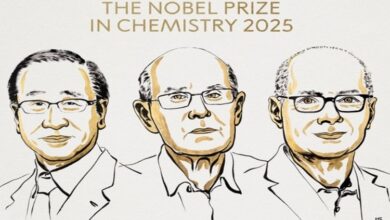 Nghiên cứu khung kim loại – hữu cơ đoạt giải Nobel Hóa học 2025
