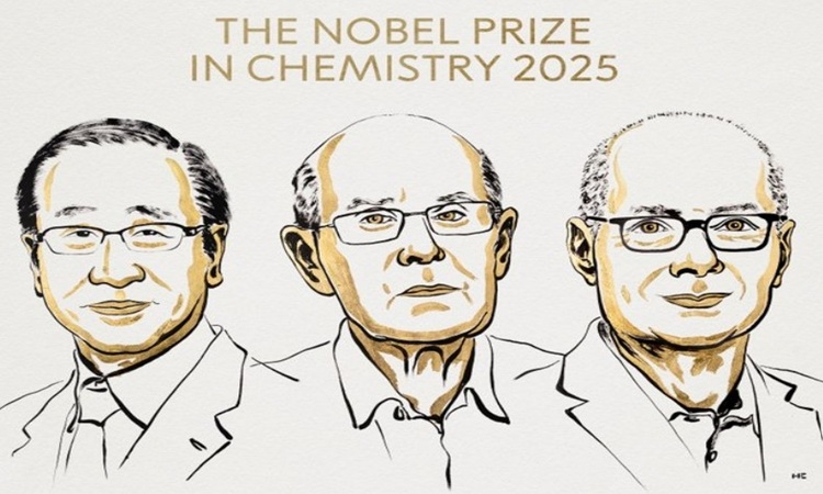 Nghiên cứu khung kim loại – hữu cơ đoạt giải Nobel Hóa học 2025