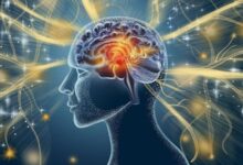 Con người có thể tải não lên máy tính hay không? Con người có thể tải não lên máy tính hay không?