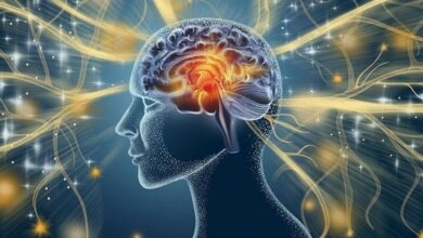 Con người có thể tải não lên máy tính hay không?