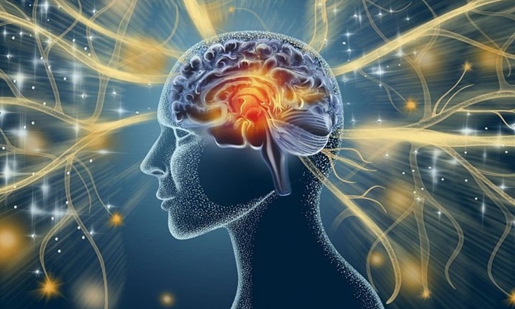 Con người có thể tải não lên máy tính hay không? Con người có thể tải não lên máy tính hay không?