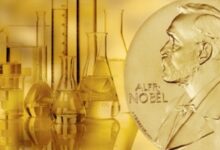 Những ứng viên sáng giá cho giải Nobel Hóa học 2025