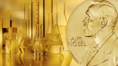 Những ứng viên sáng giá cho giải Nobel Hóa học 2025