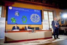Hôm nay công bố giải Nobel Hóa học 2025
