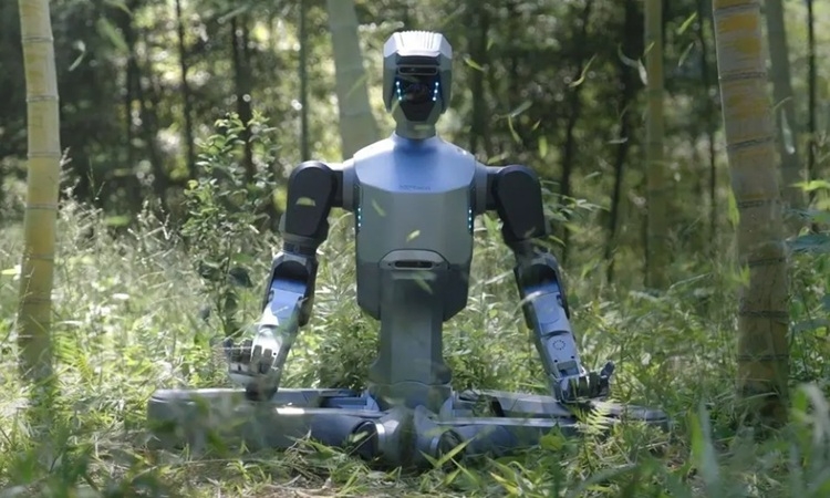 Robot hình người có thể chịu mọi điều kiện thời tiết Robot hình người có thể chịu mọi điều kiện thời tiết