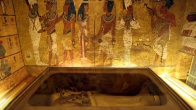 Ngôi mộ của pharaoh Tutankhamun có nguy cơ sụp đổ