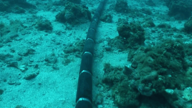 Cáp quang biển – xương sống mong manh của AI và Internet toàn cầu