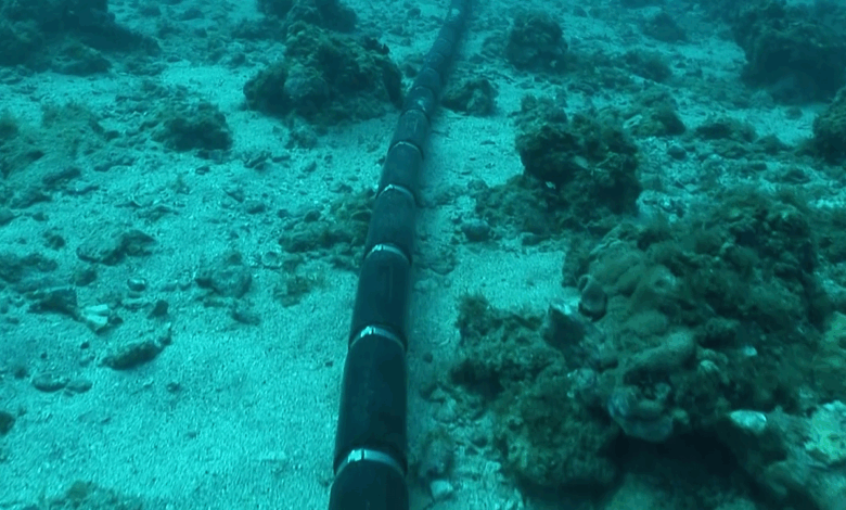 Cáp quang biển – xương sống mong manh của AI và Internet toàn cầu