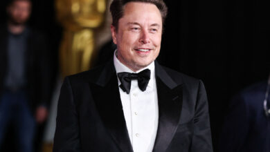 Elon Musk: ‘AI là cơn sóng thần hủy diệt công việc bàn giấy’