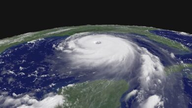 Cơ chế hình thành bão