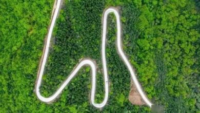 Con đường không mọc cỏ suốt 2.200 năm của Tần Thủy Hoàng