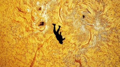 Ảnh chụp người nhảy dù phía trước Mặt Trời thu hút chú ý